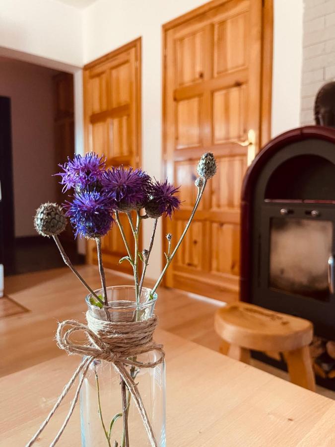 Hill Durmitor Apartment Žabljak Екстериор снимка