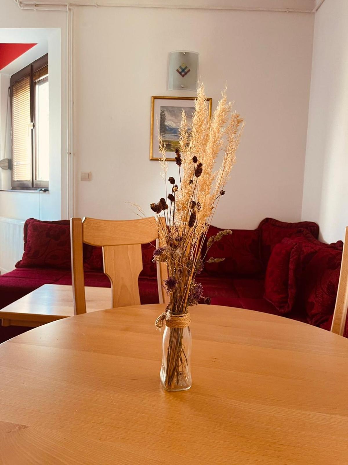 Hill Durmitor Apartment Žabljak Екстериор снимка
